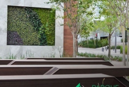 Yellow Monterrey y NewTechWood bancas 1