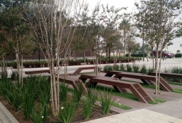 Yellow Monterrey y NewTechWood bancas 3