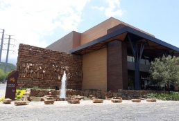 Yellow Monterrey NewTechWood muros 7